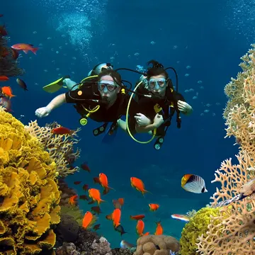 Plongee sous-marine