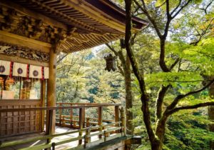 Visiter le Japon en 10 jours : à quelle période partir ?
